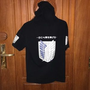 Attack on Titan Shingeki no Kyojin Survey Corps